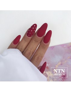 Hybridlakk NTN Premium Show... 2